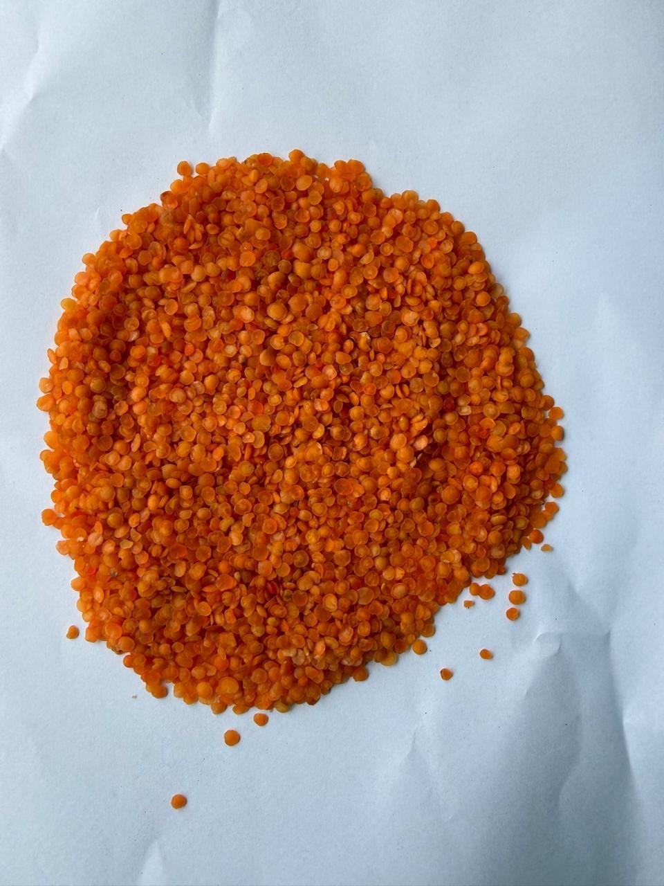 Red lentils product sample — Admiral Agro